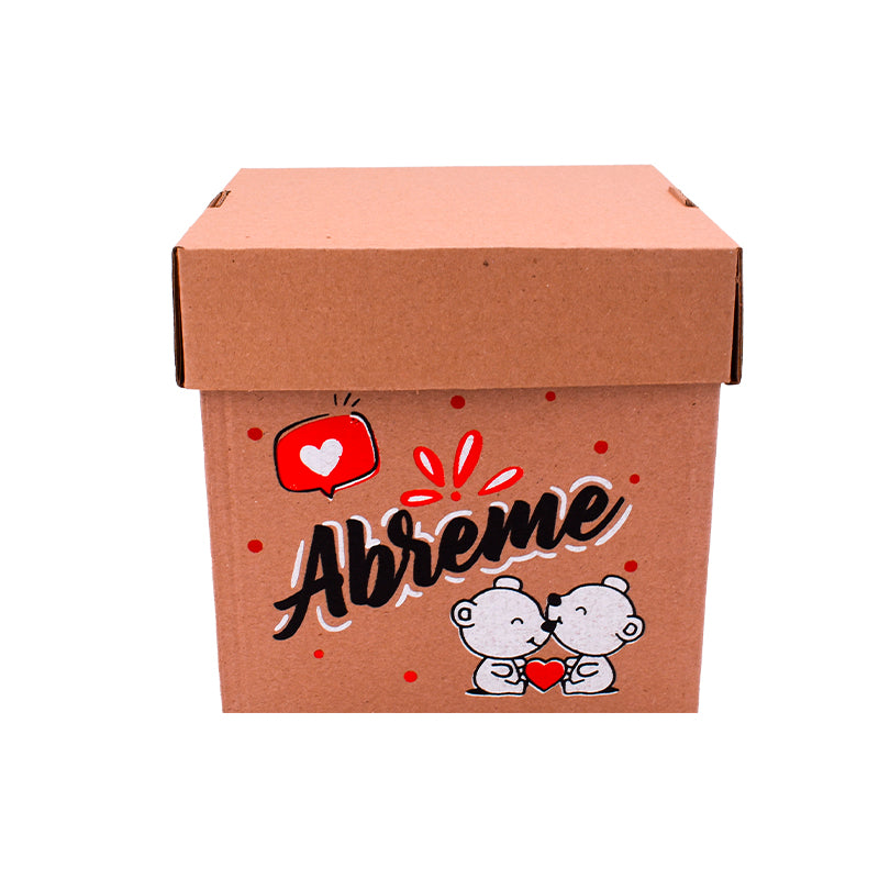 Caja de Regalo con Tapa ASV13